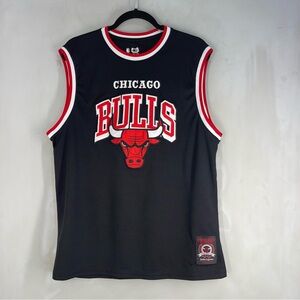 Chicago Bulls Teens Size Large NBA Basketball Sports Jersey Tank Black Red